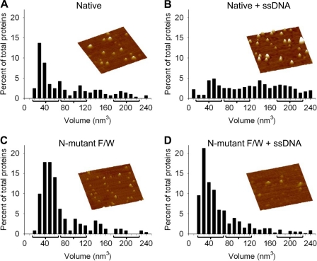 FIGURE 3.