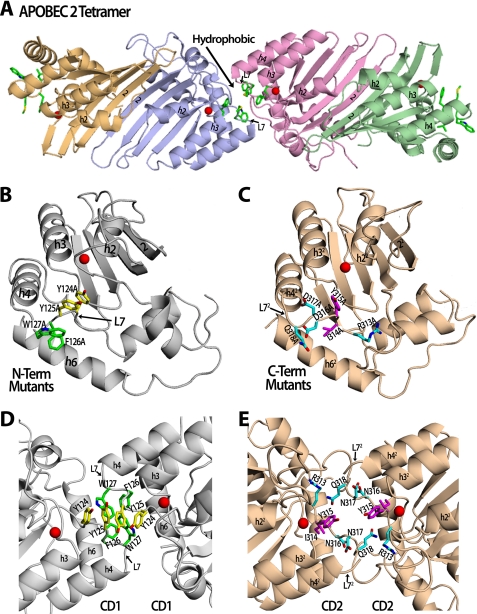 FIGURE 1.