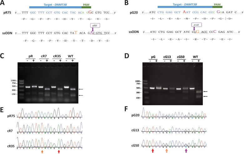 Figure 1—figure supplement 1.