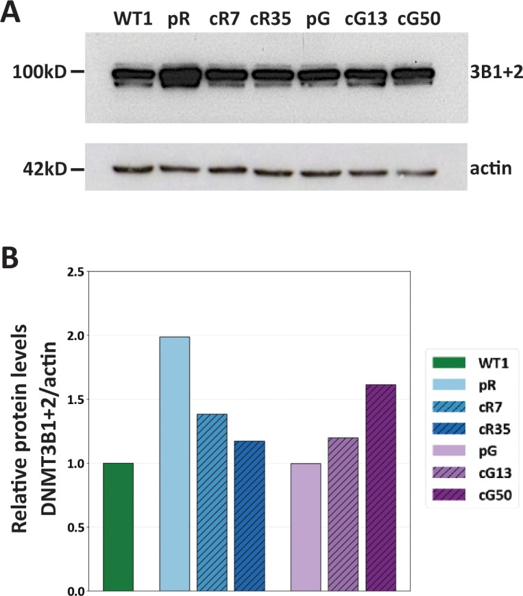 Figure 1—figure supplement 2.