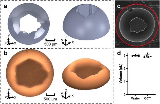 Fig. 5.