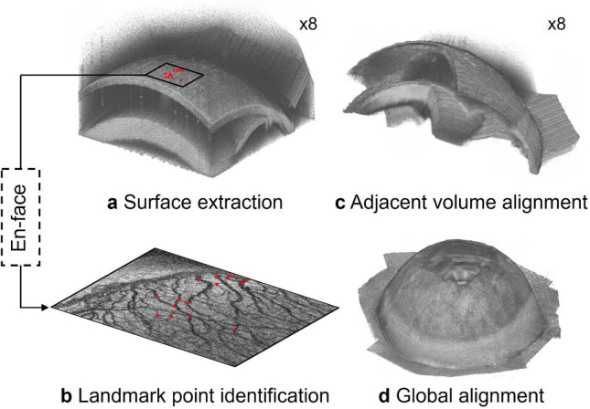 Fig. 2.