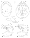 Figure 6.