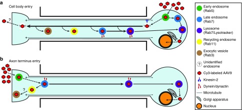 Figure 8