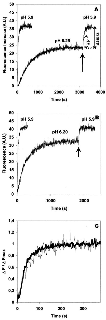 FIG. 3.