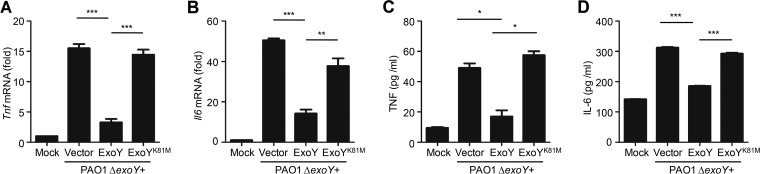 FIG 2