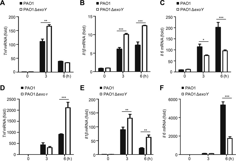 FIG 3