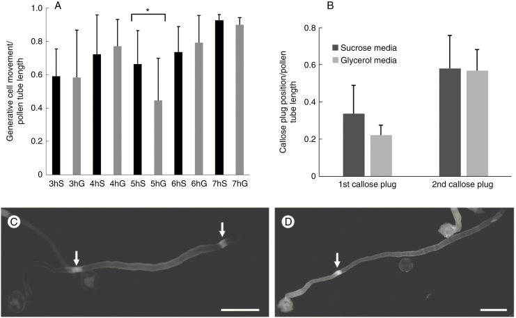 Fig. 12.