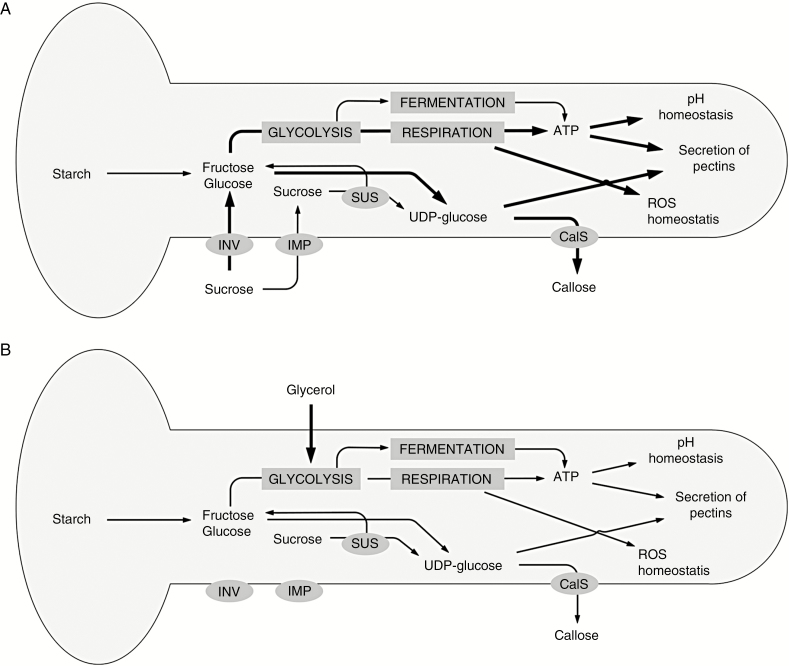 Fig. 13.