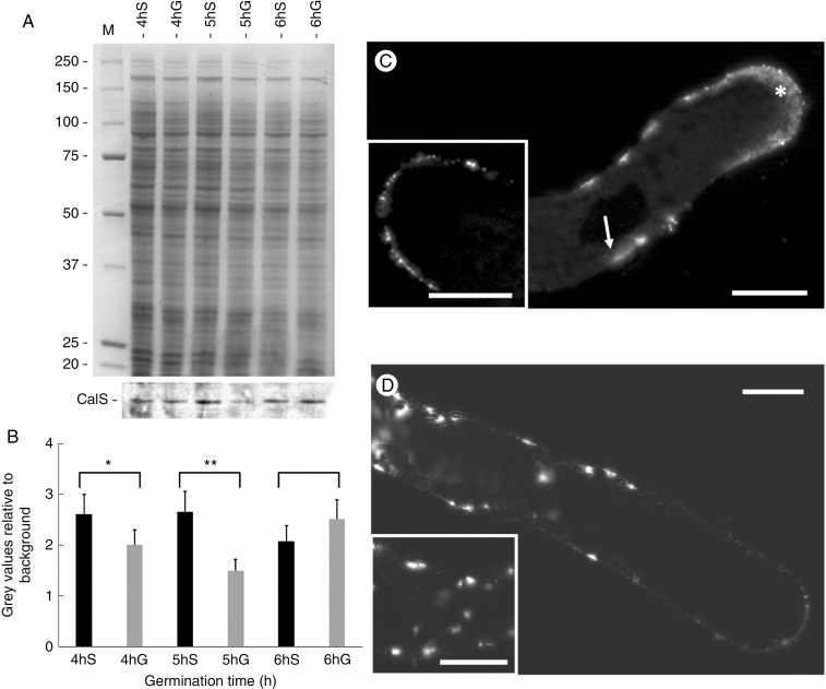 Fig. 9.