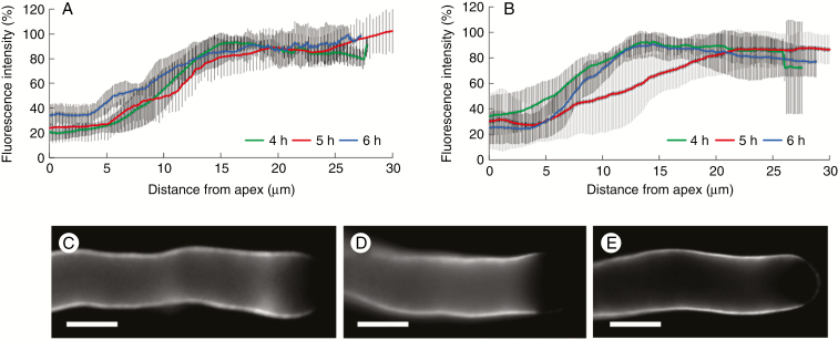 Fig. 11.