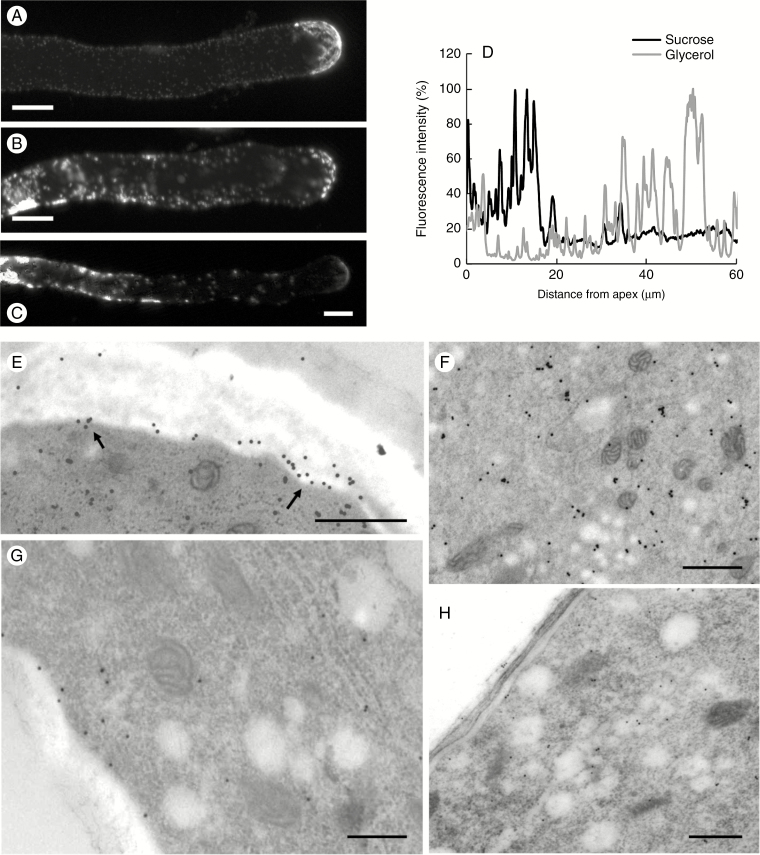 Fig. 8.