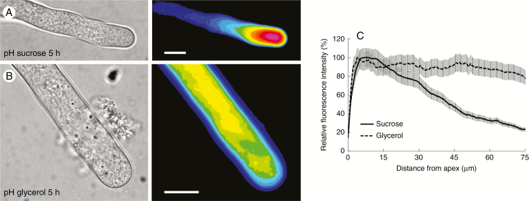 Fig. 4.