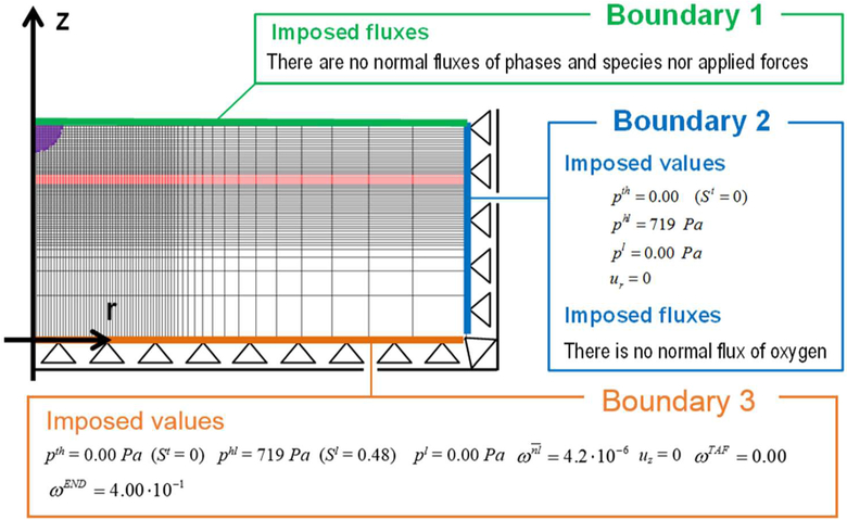 Fig. 17