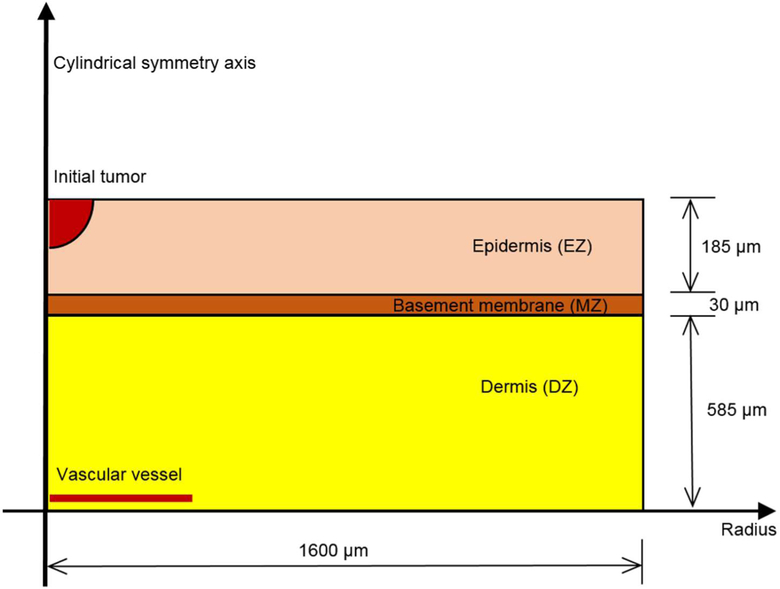 Fig. 16