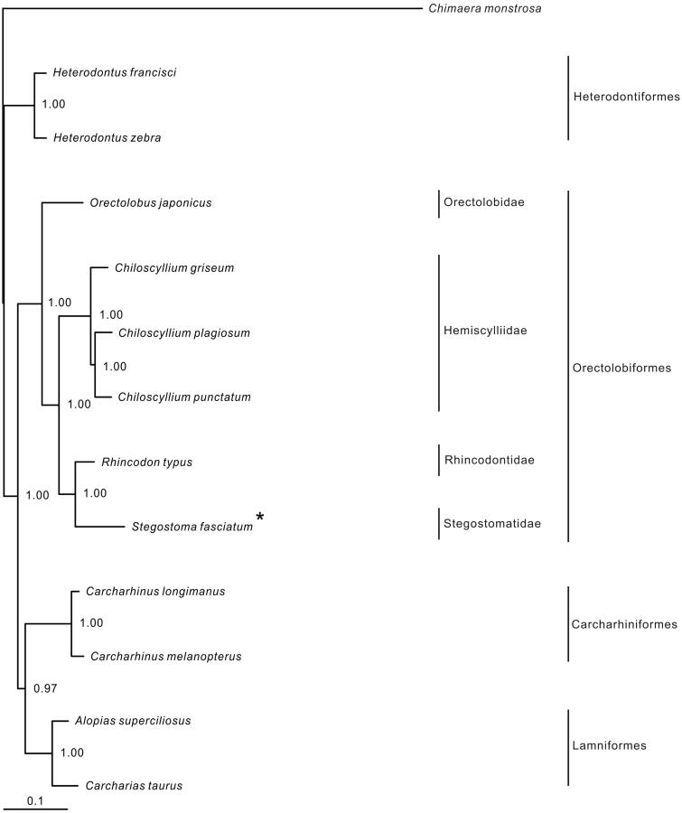 Figure 1.