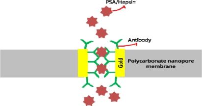 Figure 19.