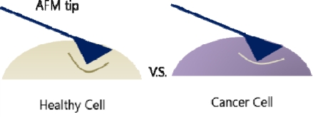 Figure 18.