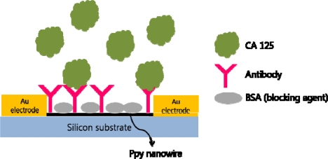 Figure 16.