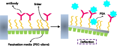 Figure 17.