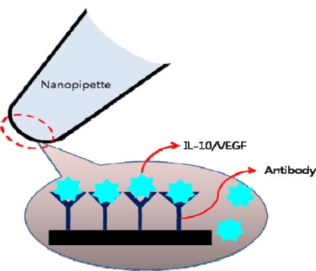 Figure 20.