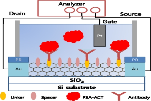 Figure 11.