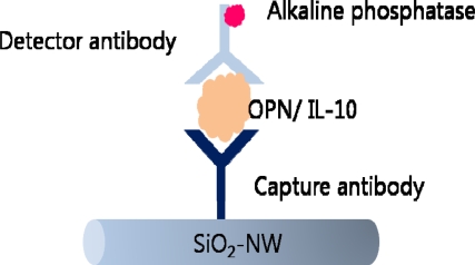 Figure 13.