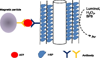 Figure 10.