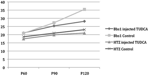 Figure 7.