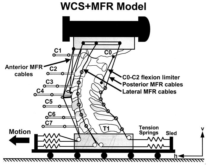 Fig. 2