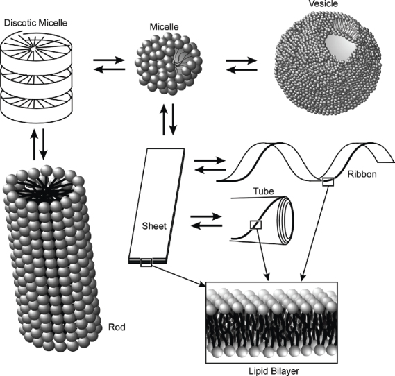 Figure 19