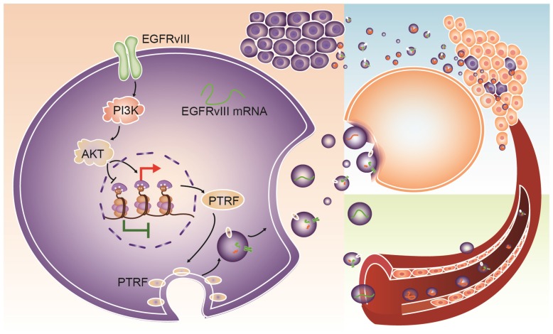 Fig 9