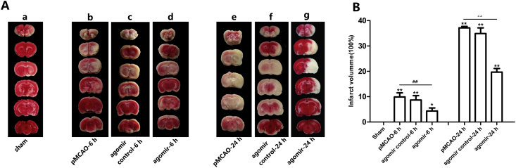 Figure 5