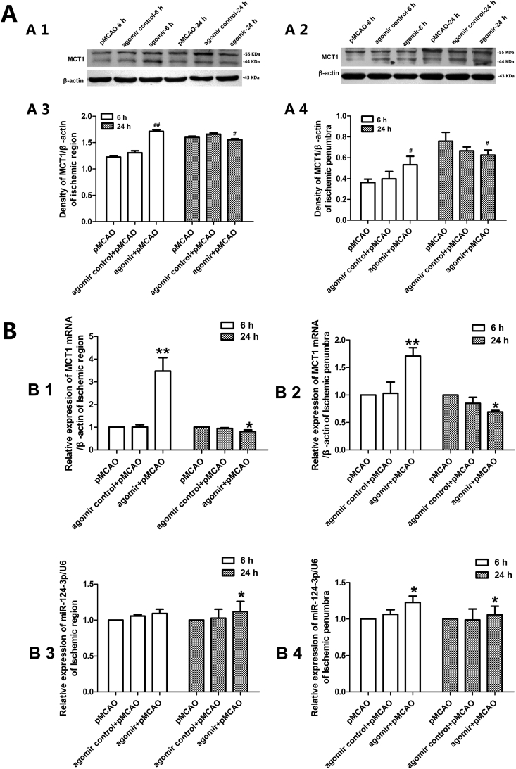 Figure 4