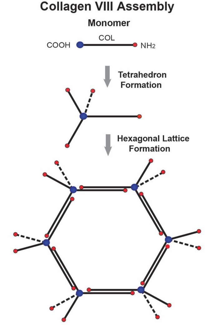 Fig. 8.