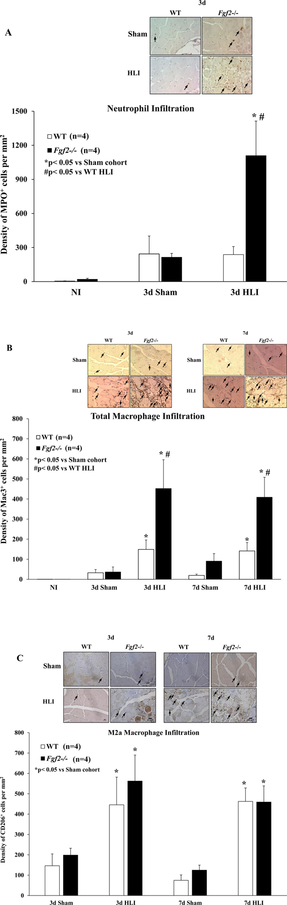 Figure 6: