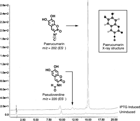 FIG. 2.