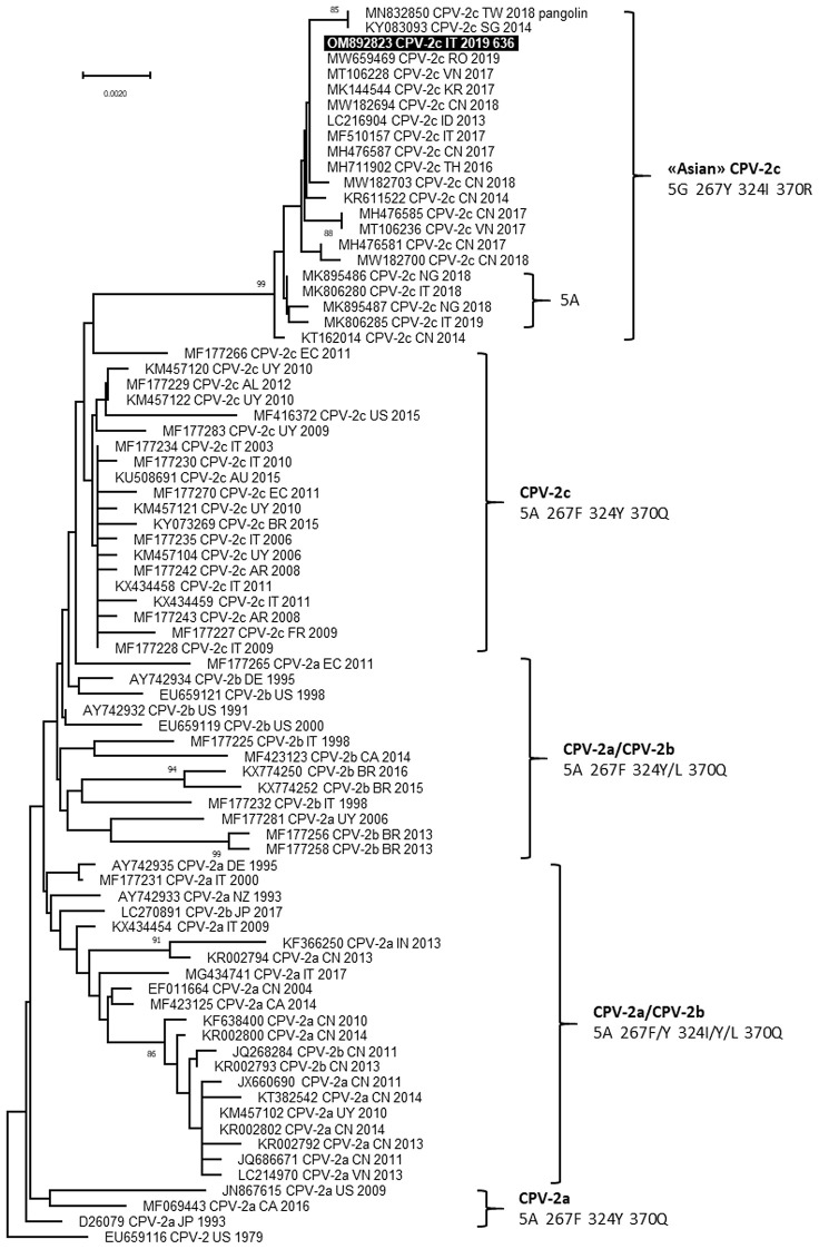 Figure 2