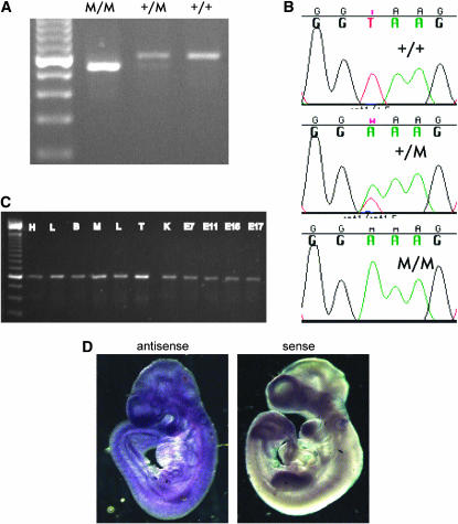 Figure 3.—