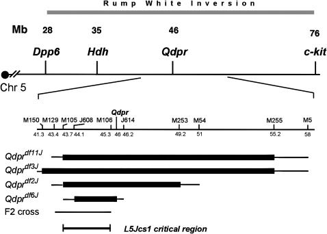 Figure 2.—