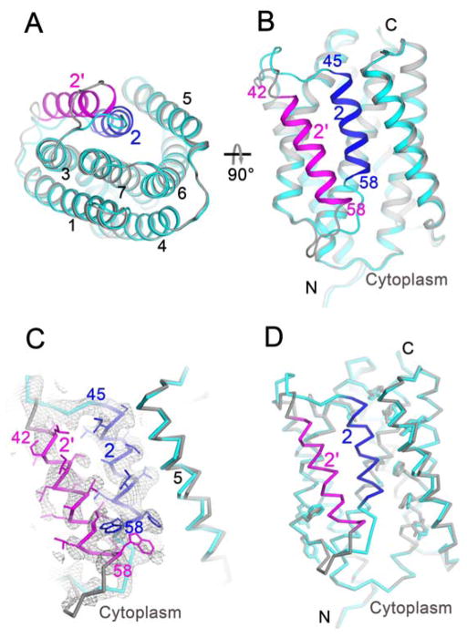 Fig. 3