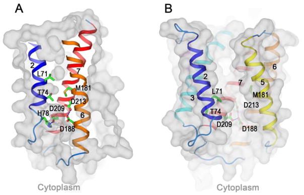 Fig. 6