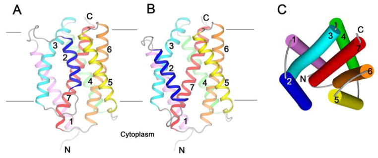 Fig. 1