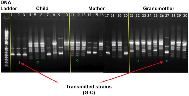 Figure 2.