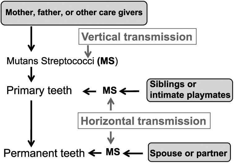 Figure 3.