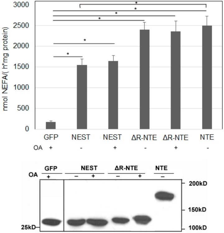 Figure 6