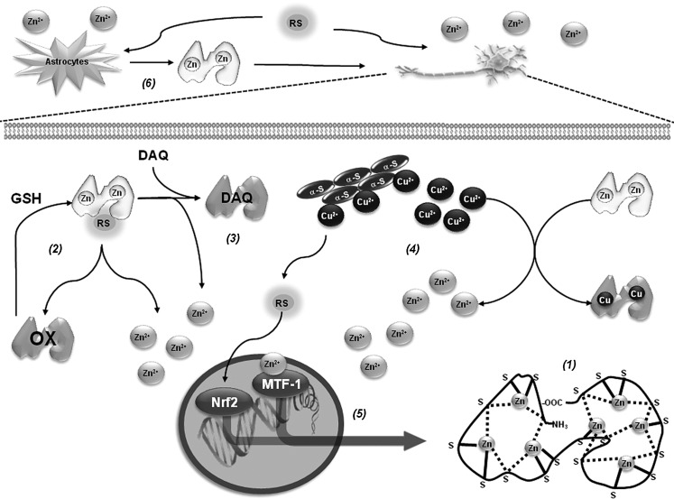 FIG. 8.