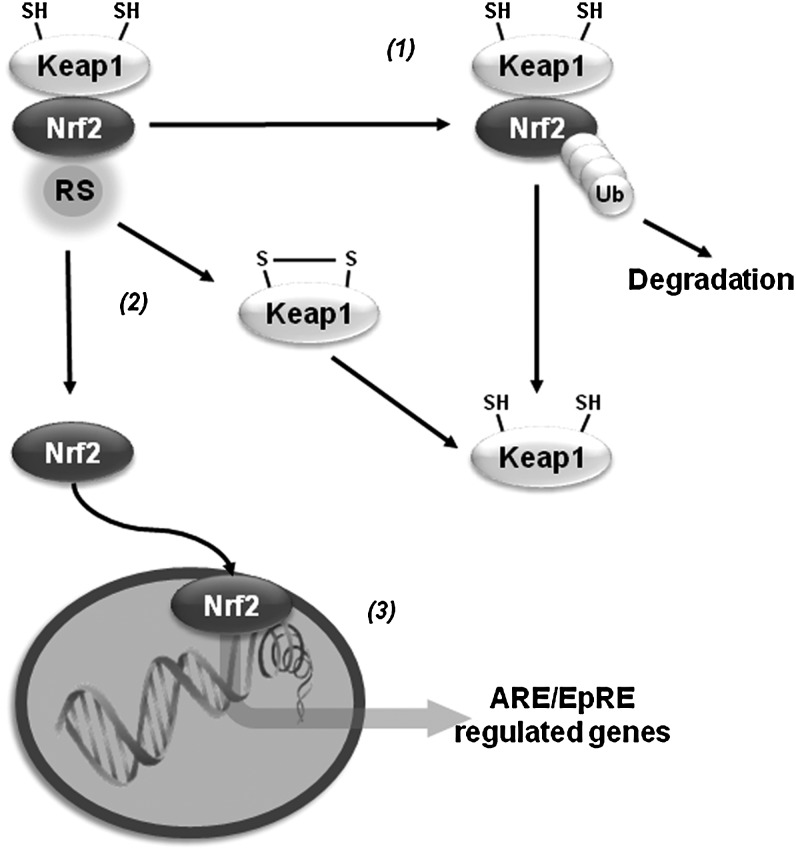 FIG. 7.