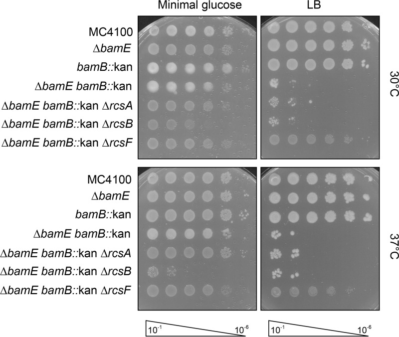 FIG 2