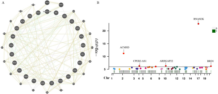 Figure 5